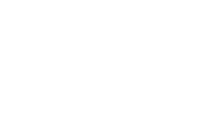 Ally